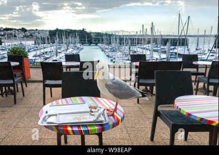 Eine Möwe auf ein Restaurant Esstisch zu Essen fällt auf ein Lebensmittel fach Schöne Aussicht auf Meer Hafen mit Blick auf den Yachthafen vom Restaurant links. Stockfoto