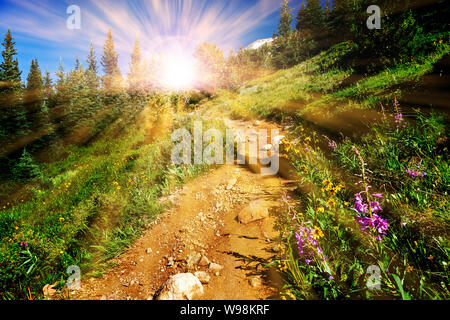 Schmutz Wanderweg schlängelt sich durch eine Wiese voller bunter Wildblumen mit das helle Licht der Sonne durch den Wald im Colorado Roc glänzend Stockfoto