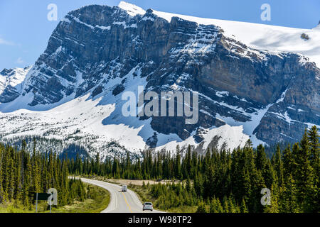 Icefields Parkway bei Crowfoot Gletscher - Frühling Blick auf Icefields Parkway durch dichten Wald an der Basis der BowCrow Peak und Crowfoot Gletscher. Stockfoto