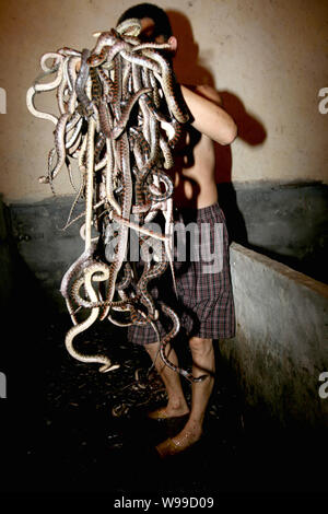 ---- Ein Bauer wäscht Schlangen an einer Schlangenfarm in Zisiqiao Dorf, als die Schlange Dorf, in Xinshi Stadt bekannt, deqing Grafschaft, Stadt Huzhou, East China Stockfoto