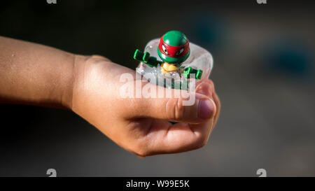 Ninja Turtle in Ice Cube gefangen, schmelzen in der Sonne Stockfoto