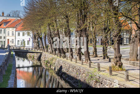 Bäume am Kanal in Wismar, Deutschland Stockfoto