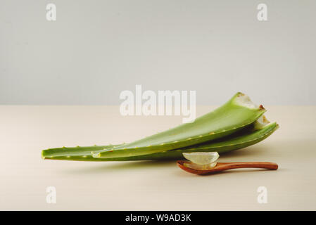 Aloe Stücke, frischen Aloe vera auf einer Holz Hintergrund Blätter Stockfoto