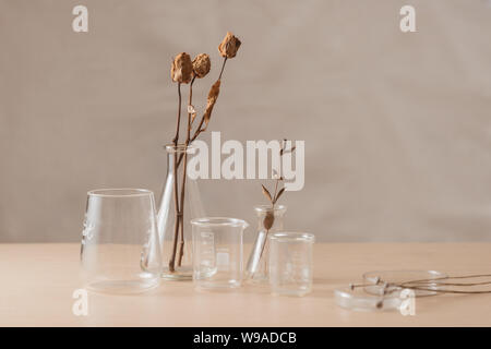 Glaskolben mit Blumen auf dem Tisch, die im Labor Stockfoto