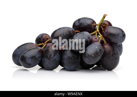 Frische schwarze Traube auf weißem Hintergrund Stockfoto