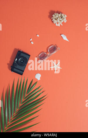 Sommer vibes. Kamera, Sonnenbrille Witt tropischen Palm Leaf, Muscheln und Seesterne. Flach, Ansicht von oben Stockfoto