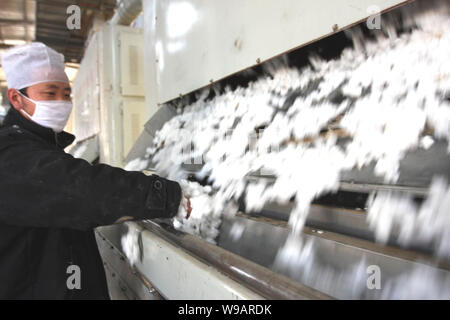 Ein chinesischer Arbeiter Prozesse Baumwolle eine Fabrik in Changji Hui Autonomen Präfektur, Northwest China Autonome Region Xinjiang Uygur, 27. Oktober, 20. Stockfoto