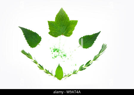Tee Kräuter noch leben Flatlay auf weißem Hintergrund Stockfoto