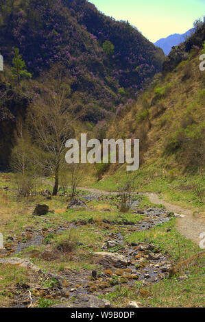 Eine Spur in einem Berg Schlucht, der unter dem Hügel mit Wald und Gras bedeckt. Stockfoto