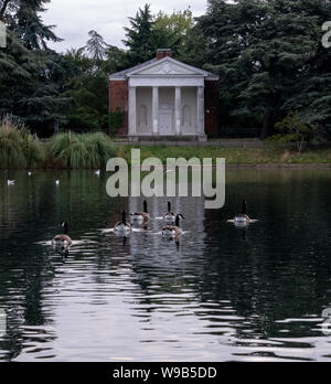 Tempel am See neu renovierte Gunnersbury Park und Museum auf der Gunnersbury Immobilien, West London UK. Enten in den Vordergrund. Stockfoto