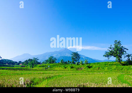 Ausbruch des Mount Arjuna/Arjuno-Welirang mit Reisfeldern epic anzeigen Stockfoto