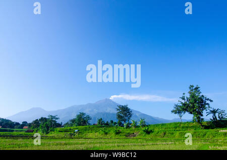 Ausbruch des Mount Arjuna/Arjuno-Welirang mit Reisfeldern epic anzeigen Stockfoto