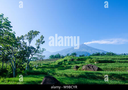 Ausbruch des Mount Arjuno/Arjuna-Welirang Stockfoto