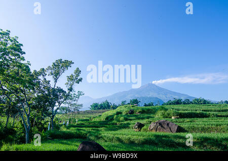 Ausbruch des Mount Arjuno/Arjuna-Welirang Stockfoto