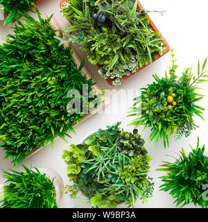 Künstliche immergrüne Pflanzen in verschiedenen Töpfen auf weißem Hintergrund Stockfoto