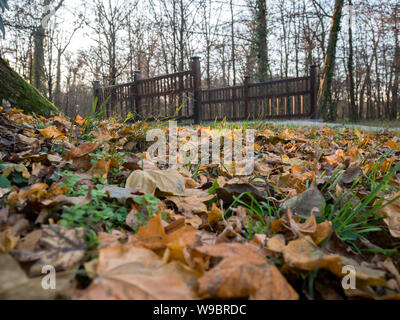 Herbst Blätter auf dem Boden mit hölzernen Brücke im Hintergrund in Maksimir Park, Zagreb, Kroatien. Stockfoto