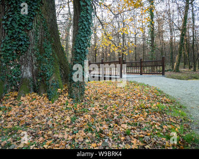 Maksimir Park in Zagreb bei Sonnenuntergang auf Herbst mit vielen Blätter auf dem Boden Stockfoto