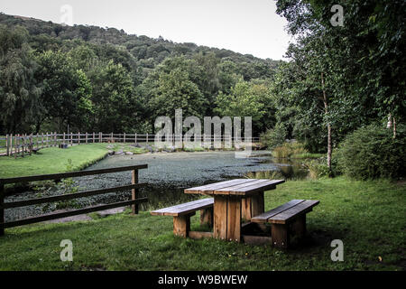Picknick Sitzbank mit Blick auf den kleinen Teich Stockfoto