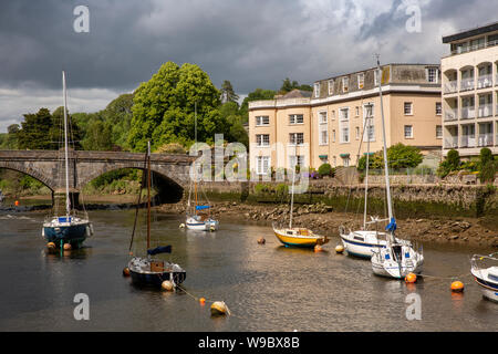 Großbritannien, England, Devon, Totnes, Freizeit, Boote auf dem Fluss Dart an der Brücke nach Bridgetown Stockfoto