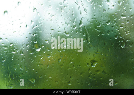 In der Nähe von frischem Wasser Tropfen auf Fenster Glas auf Hintergrund der grünen Blättern. Regentropfen auf der Fensterscheibe im Sommer Tag. Tröpfchen auf Glas mit verschwommenen Summ Stockfoto