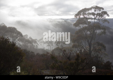 Der Blick auf die umliegenden Berge und Nebel in den Tälern von hassans Wände Lithgow New South Wales Australien suchen am 31. Juli 2019 Stockfoto