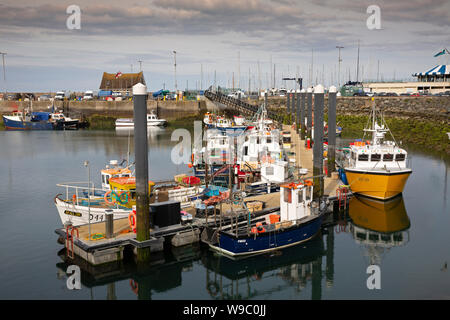 Irland Leinster, Nordrhein-Westfalen, Co Dublin, Howth, die Fischerboote im Hafen Stockfoto