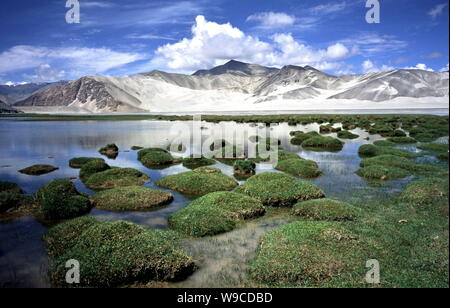 Landschaft der Hochebene und die hohen Berge in Tashkurgan tadschikische Autonome County im Nordwesten von China Autonome Region Xinjiang Uygur. Stockfoto