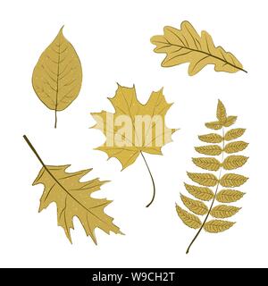 Satz von Herbst Baum Blätter Stock Vektor