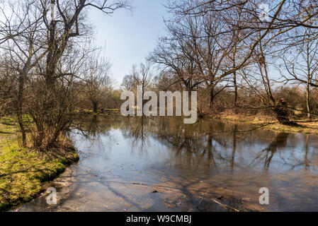 Slanaky River Lake mit Bäumen um klaren Himmel und im frühen Frühjahr LANDSCHAFTSSCHUTZGEBIETES Poodri geschützten Bereich in der Nähe von Studenka Stadt in der Tschechischen Republik Stockfoto