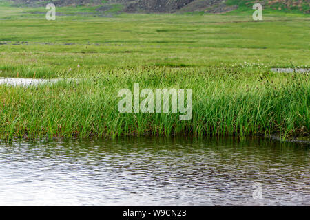 Erhöhte mit einem offenen Wasser See im Berg Tundra bog Stockfoto