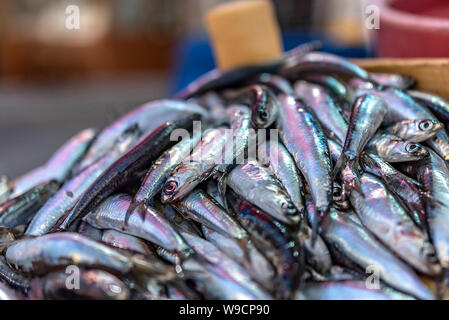 Sardellen und Wittling auf Fisherman's Counter Stockfoto