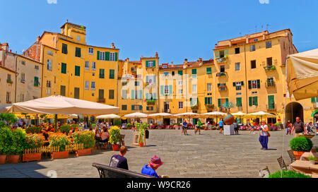 Amfiteatro Stadtplatz, Lucca, Toskana, Italien. Stockfoto