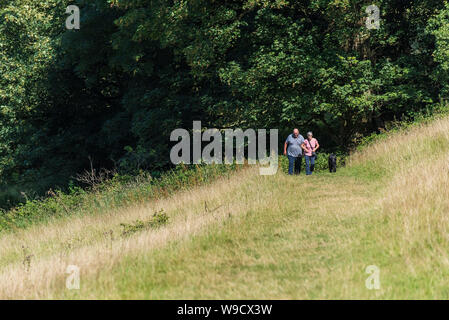 Hund Wanderer zu Fuß ihren Hund durch eine Wiese in die Landschaft von Somerset. Stockfoto