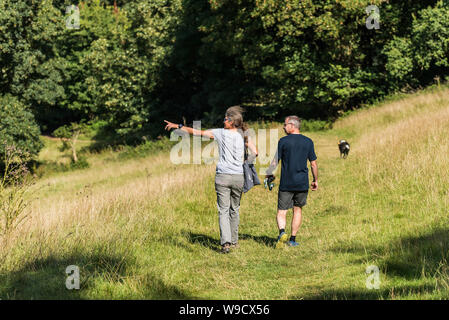 Hund Wanderer zu Fuß ihren Hund durch eine Wiese in die Landschaft von Somerset. Stockfoto