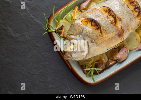 Ein warmes, Spondyliosoma cantharus Schwarz Brassen, gebacken in einem Halogen Ofen wurde. Es hat auf einem Bett von in Scheiben geschnittenen Kartoffeln mit Knoblauch Nelken platziert. Stockfoto