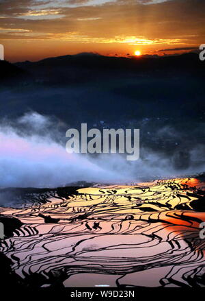 ------ Landschaft von terrassierten Reisfeldern im Yunyang County, im Südwesten von China Yunnan Provinz, 13. August 2008. Stockfoto