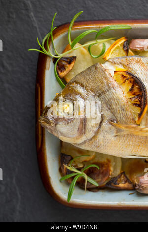 Ein warmes, Spondyliosoma cantharus Schwarz Brassen, gebacken in einem Halogen Ofen wurde. Es hat auf einem Bett von in Scheiben geschnittenen Kartoffeln mit Knoblauch Nelken platziert. Stockfoto