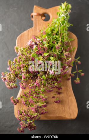 Ein Bündel von blühenden wilden Majoran, Origanum vulgare, dass in der Nähe ein Fußweg abgeholt wurde und wird zur Aromatisierung von verschiedenen Rezepten verwendet werden. Dorset England Stockfoto