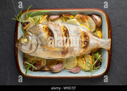 Ein warmes, Spondyliosoma cantharus Schwarz Brassen, gebacken in einem Halogen Ofen wurde. Es hat auf einem Bett von in Scheiben geschnittenen Kartoffeln mit Knoblauch Nelken platziert. Stockfoto