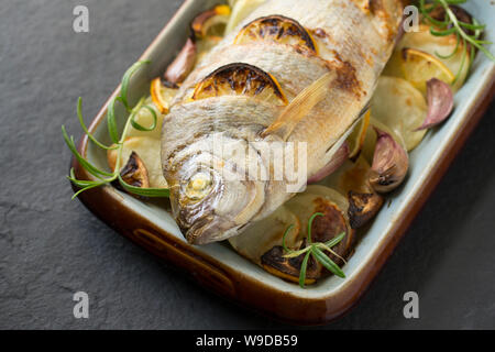 Ein warmes, Spondyliosoma cantharus Schwarz Brassen, gebacken in einem Halogen Ofen wurde. Es hat auf einem Bett von in Scheiben geschnittenen Kartoffeln mit Knoblauch Nelken platziert. Stockfoto