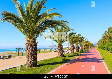 Batumi, Georgien - 30. April 2017: Palmen Gasse an der Promenade von Batumi, Georgien und Fahrrad unterwegs Stockfoto