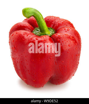 Deep Red Paprika Pfad isoliert auf weißem Stockfoto