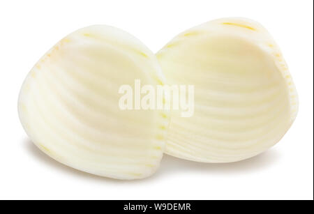 In Scheiben geschnittenen Fenchel Pfad isoliert auf weißem Stockfoto