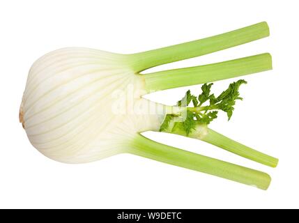 Fenchel Pfad isoliert auf weißem Stockfoto