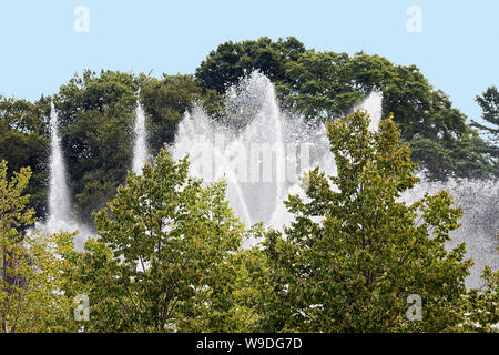 Main Brunnen Garten; Tanzen Wasser, Wasserspeienden zwischen Bäumen, beruhigend, Longwood Gardens; Kennett Square; PA; Pennsylvania; USA; Sommer; horizontal Stockfoto