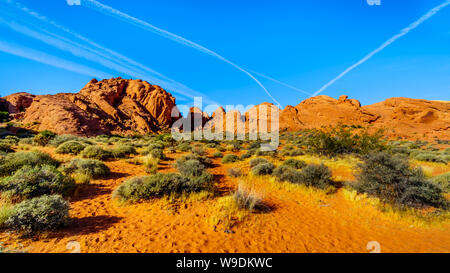 Bunte Sandstein Berge bei Sonnenaufgang auf dem Rainbow Vista Trail im Valley of Fire State Park in Nevada, USA Stockfoto