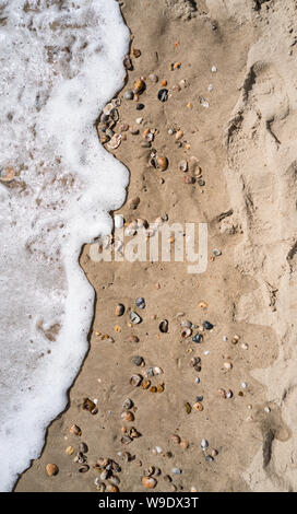 Surfen über Muscheln auf dem Sandstrand von Sandbänken Stockfoto