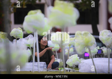 Singapur. 13 Aug, 2019. Singaporean artist Lee Yun Qin bereitet Ihre kunst Installation bin oonflowers der Mid-Autumn' für eine Anzeige an der Sun Yat Sen Nanyang Memorial Hall im Rahmen der bevorstehenden Mondfest feiern in Singapur am 13.08.2019. Credit: Dann Chih Wey/Xinhua/Alamy leben Nachrichten Stockfoto