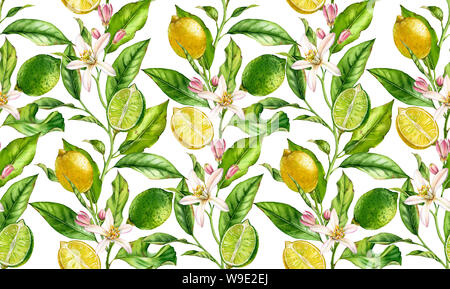 Lemon Lime Obst nahtlose Muster Aquarell baum mit blumen realistische Botanischen floral Oberfläche Design: Ganze halbe Zitrusfrucht Blätter isoliert Stockfoto
