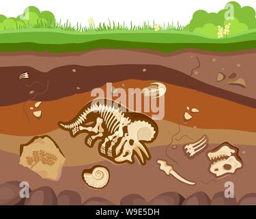 Boden Boden Schichten mit das vergrabene Fossil Tiere, Dinosaurier, Krebstiere und Knochen. Vektor Flat Style Cartoon Illustration Stock Vektor